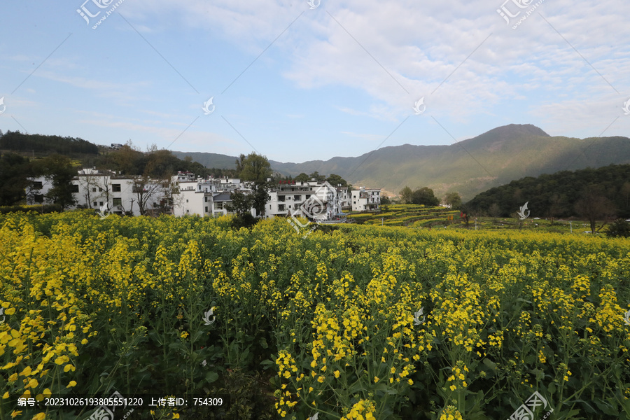 田园风光