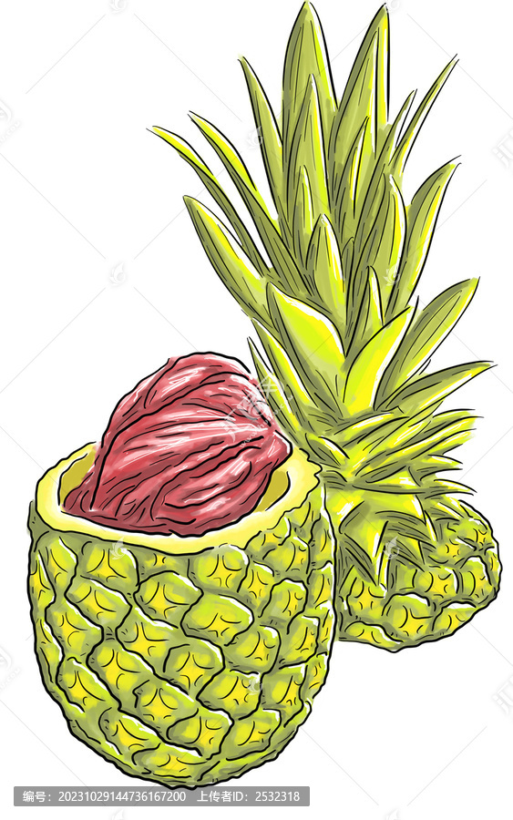 菠萝烤肉手绘美食插画