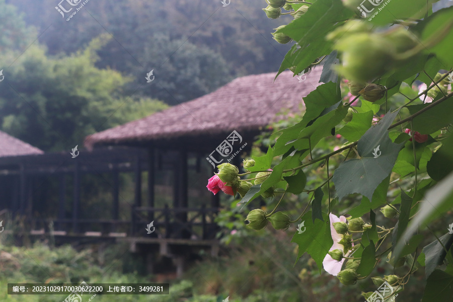 杭州浴鹄湾茅草亭