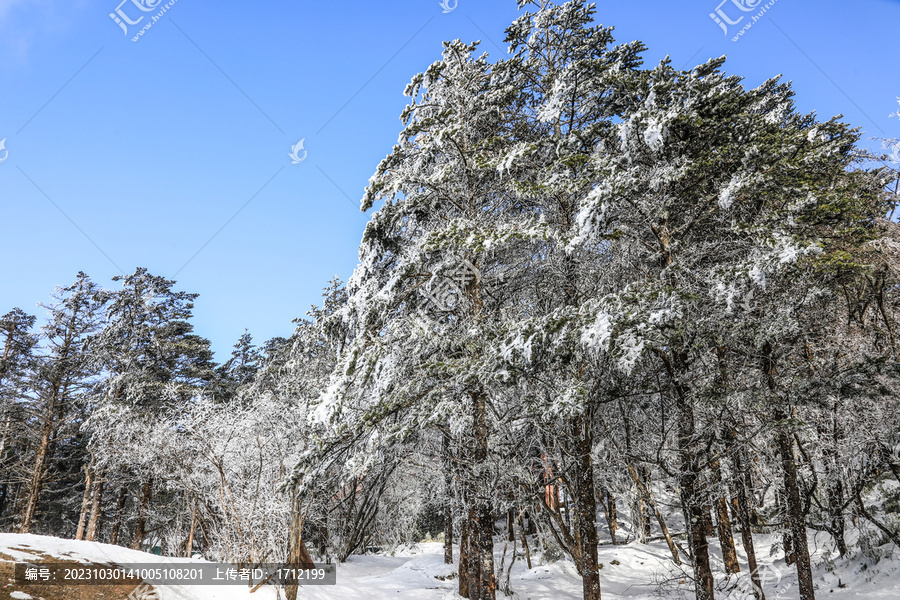 四川峨眉山金顶雪景