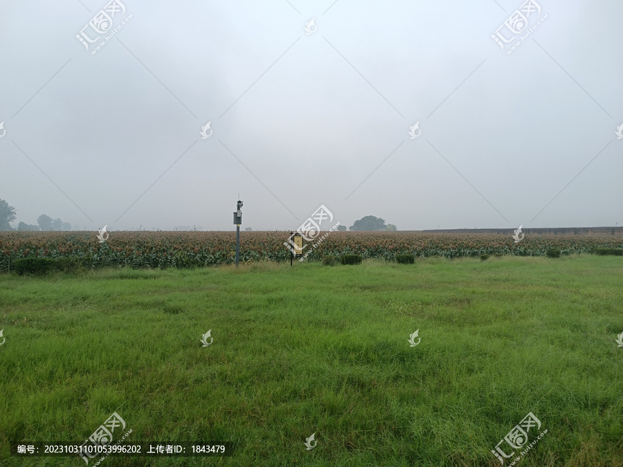 汉魏洛阳城遗址