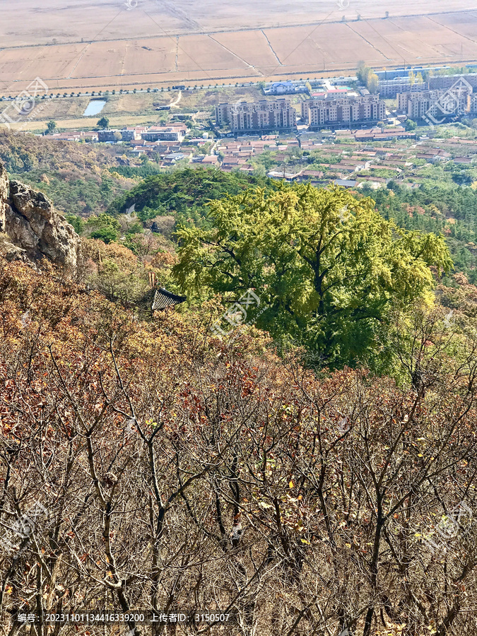 大孤山