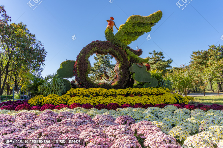 公园菊花展凤凰造型