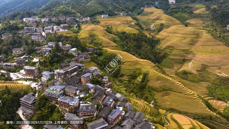 金秋梯田