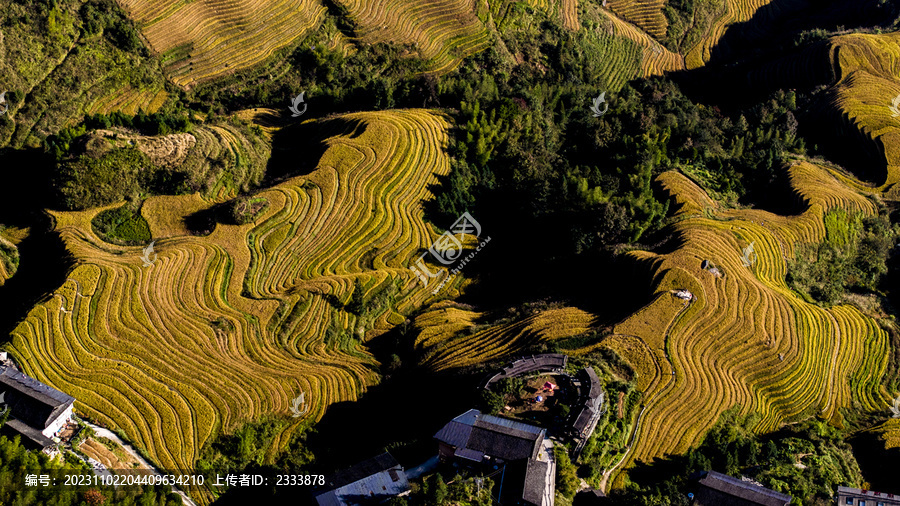 梯田旅游