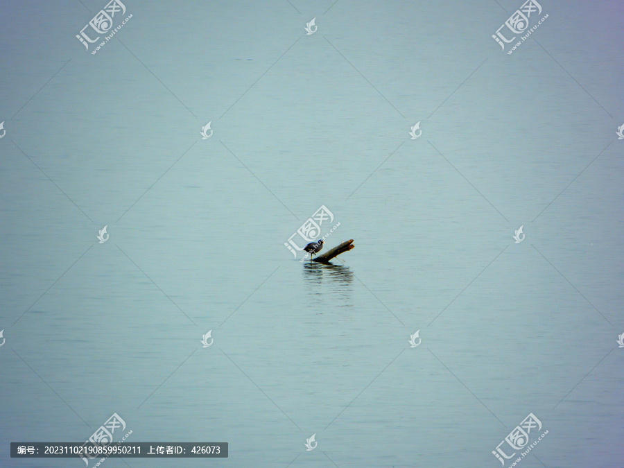 寂静的湖