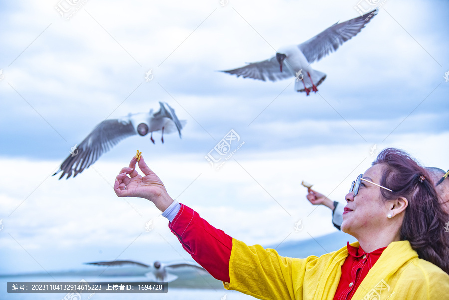 女人与海鸥