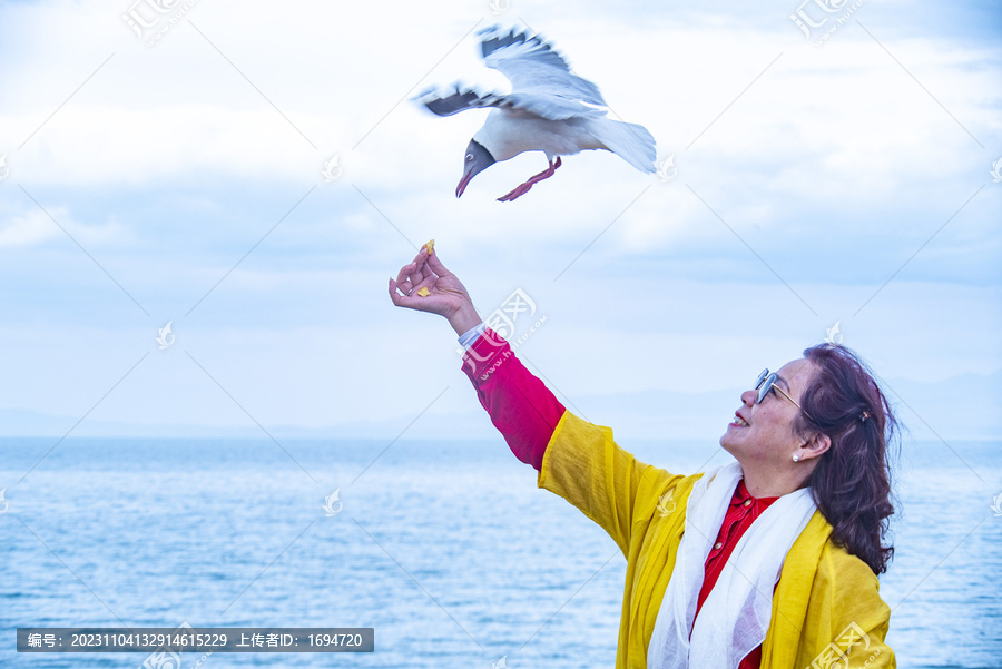 女人与海鸥