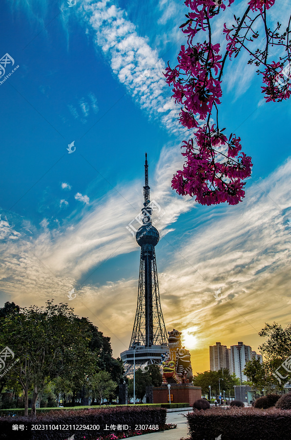 中国广东佛山电视塔日落美景