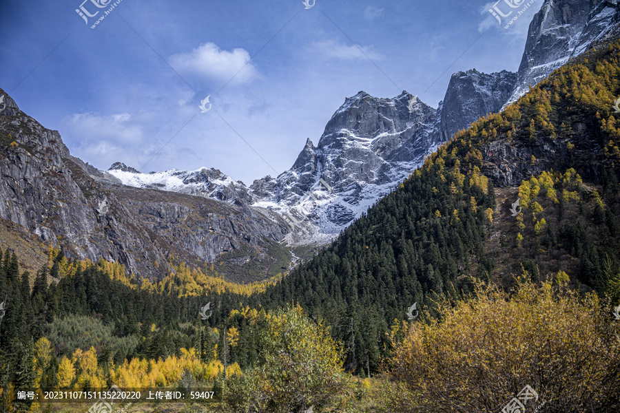 四姑娘山双桥沟秋天景色