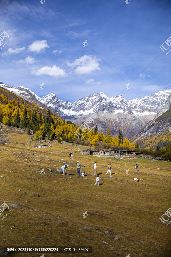 四姑娘山双桥沟秋天景色