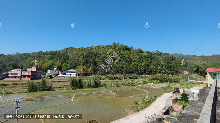 田野