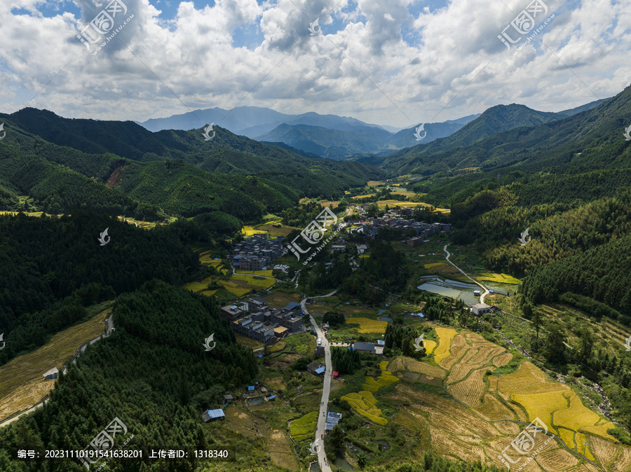 航拍广东连州欧家黑山梯田稻谷