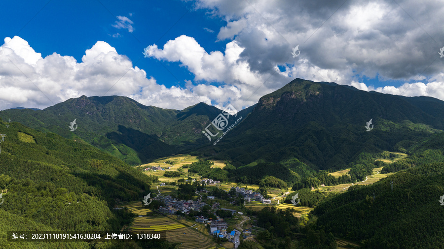 航拍广东连州欧家黑山梯田稻谷