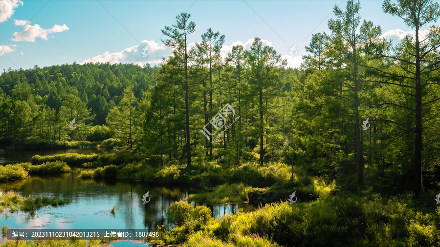 森林湖泊自然生态风景