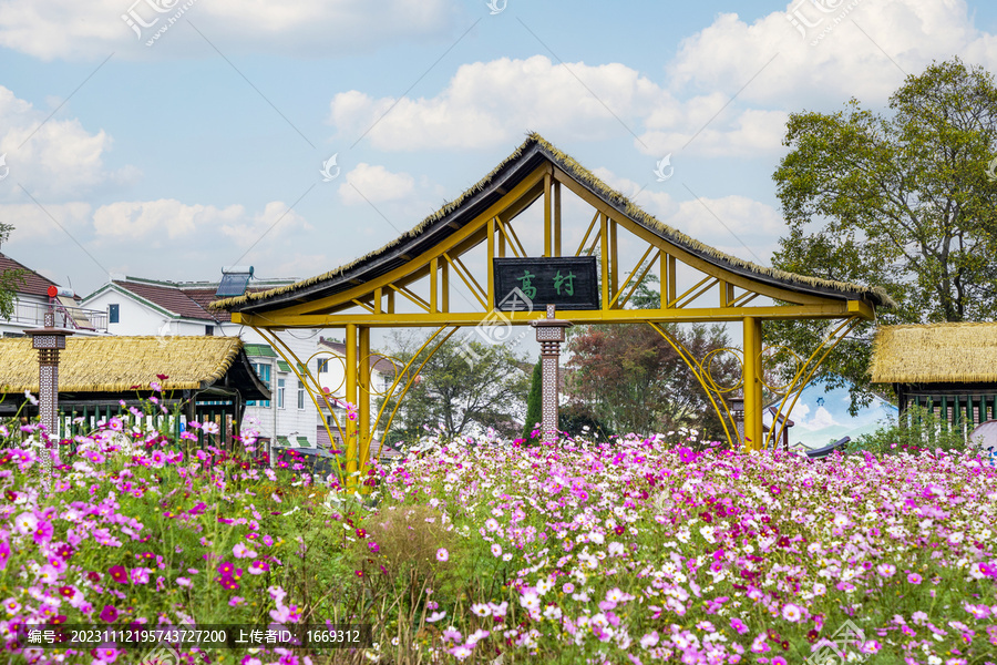 南京市高淳区桥里高村风光