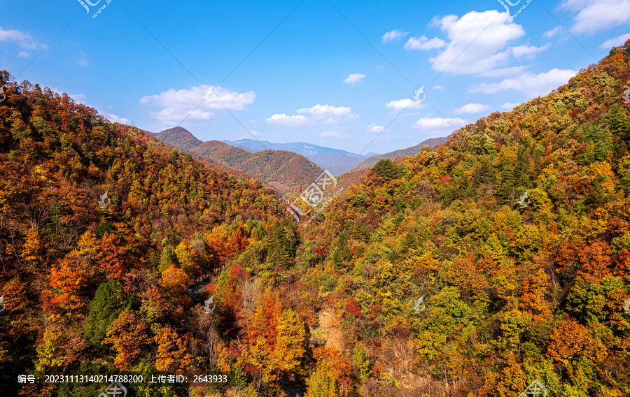 陕西秦岭秋色秋景