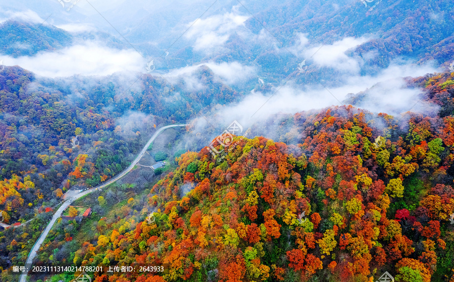 陕西秦岭秋色秋景