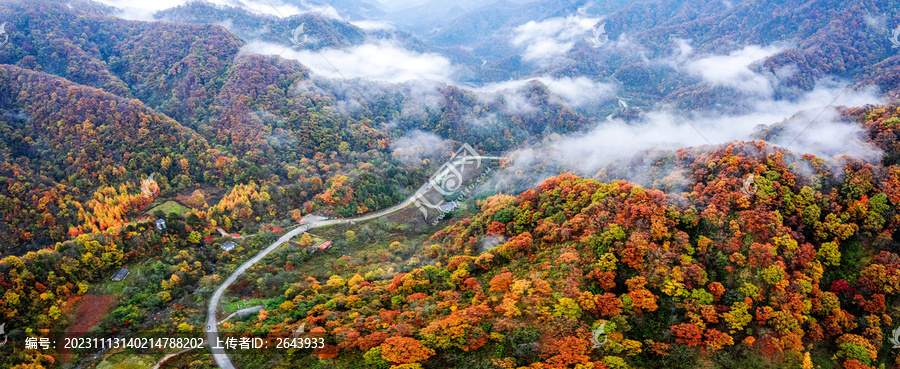 陕西秦岭秋色秋景