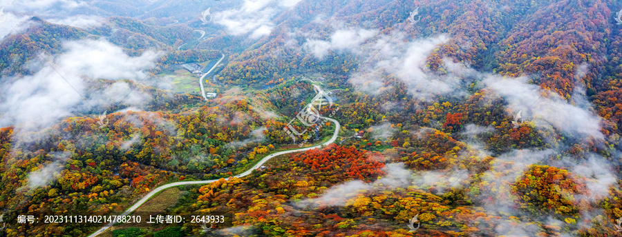 陕西秦岭秋色秋景