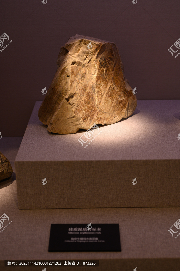 硅质泥质岩标本