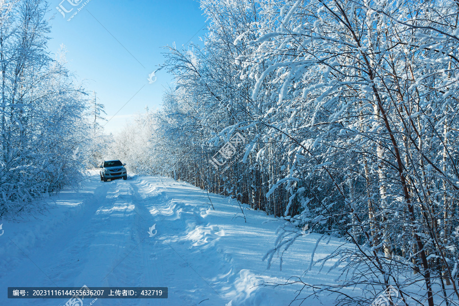 冬季森林雾凇道路积雪