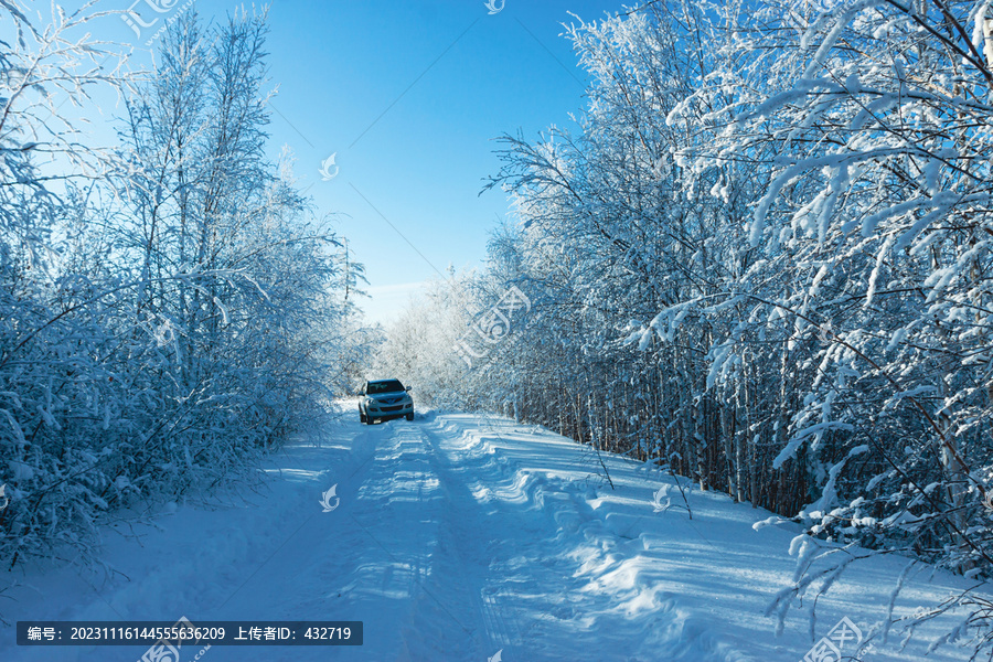 冬季森林道路积雪越野车