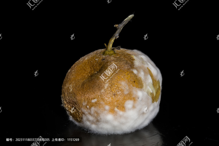 一颗发霉的完整橘子