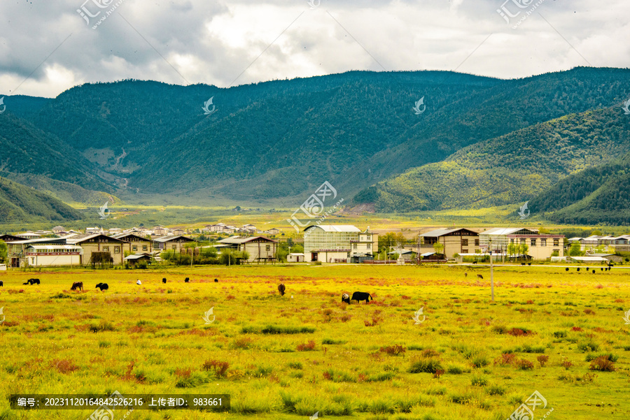 原野