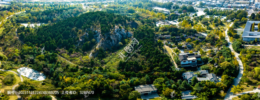 徐州龟山汉墓全景