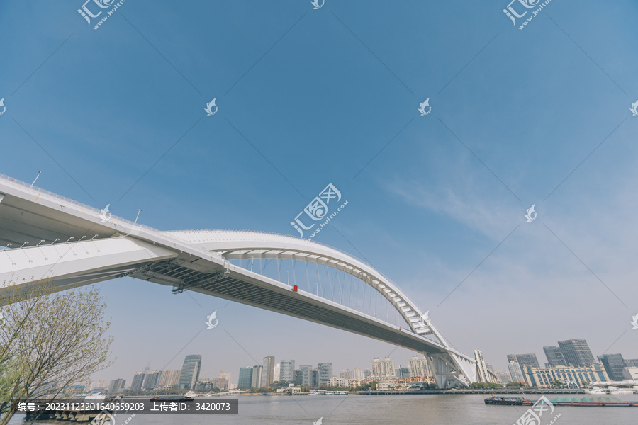 上海卢浦大桥桥梁建筑