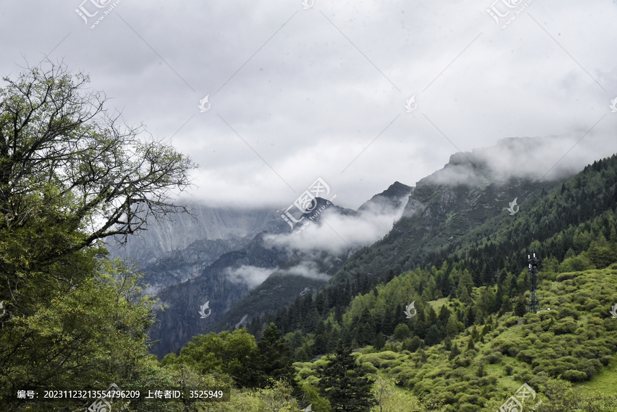 川西高山草甸