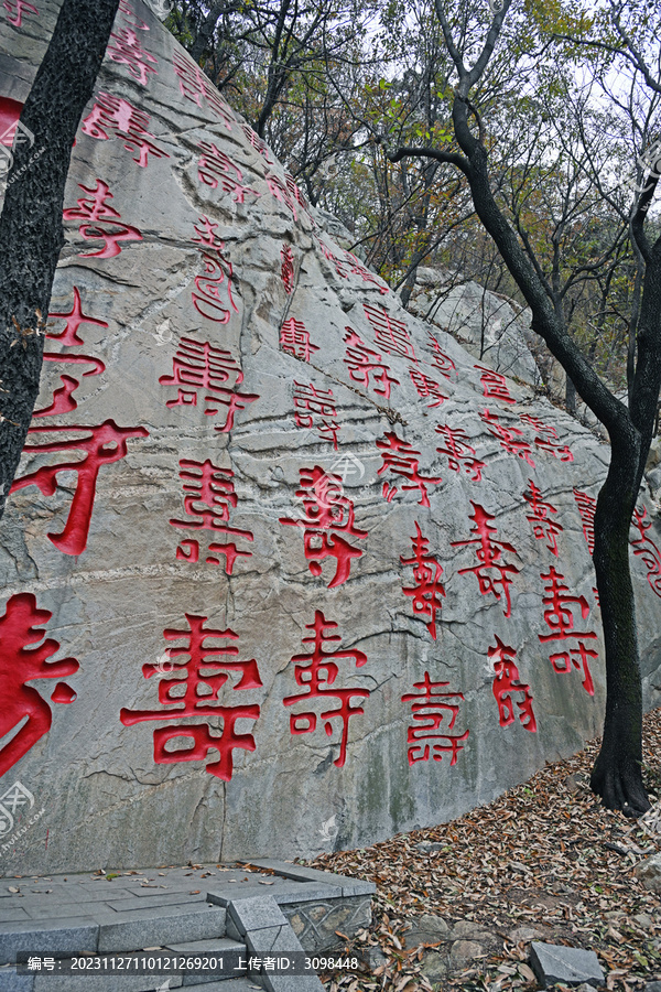 龟蒙山百寿石