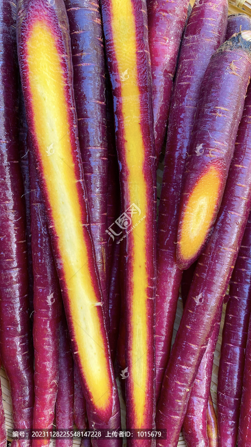 紫玉胡萝卜