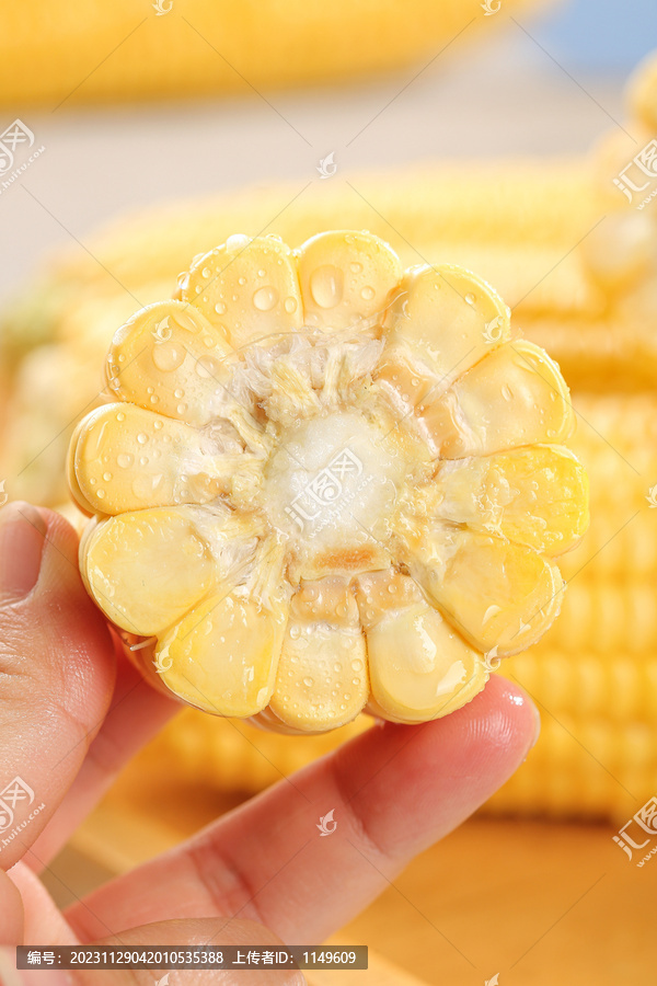 浅底上的黄玉米