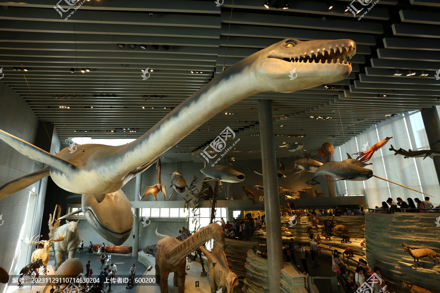 上海自然博物馆恐龙模型