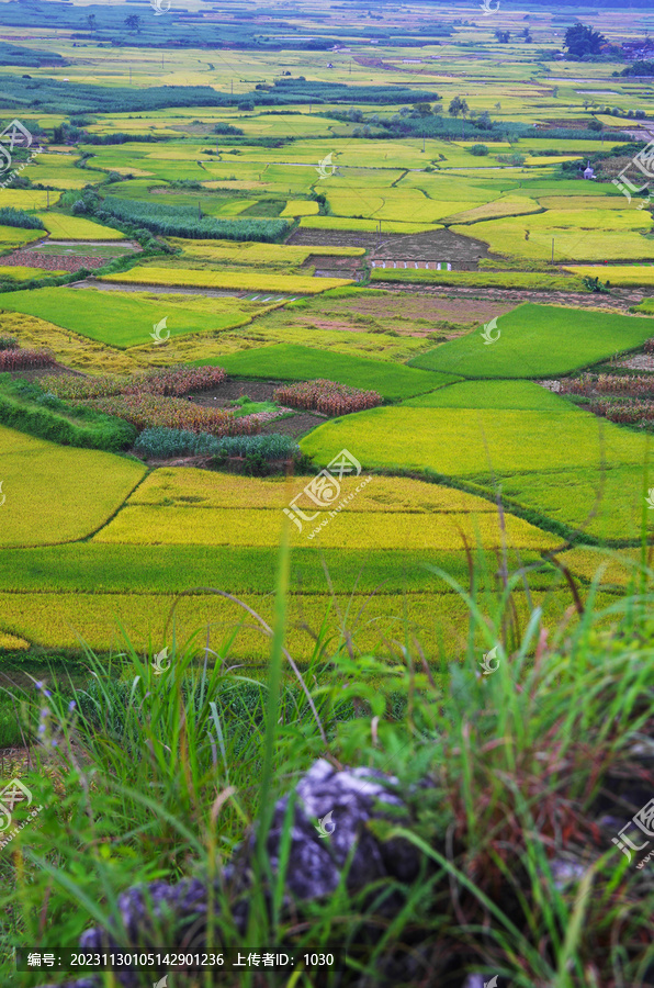 田园风景自然风景绿色乡村