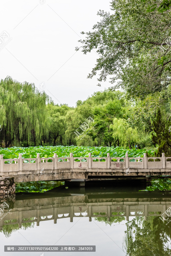 中国北京清华大学近春园莲桥