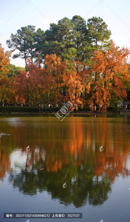 苏州天平山秋季风景