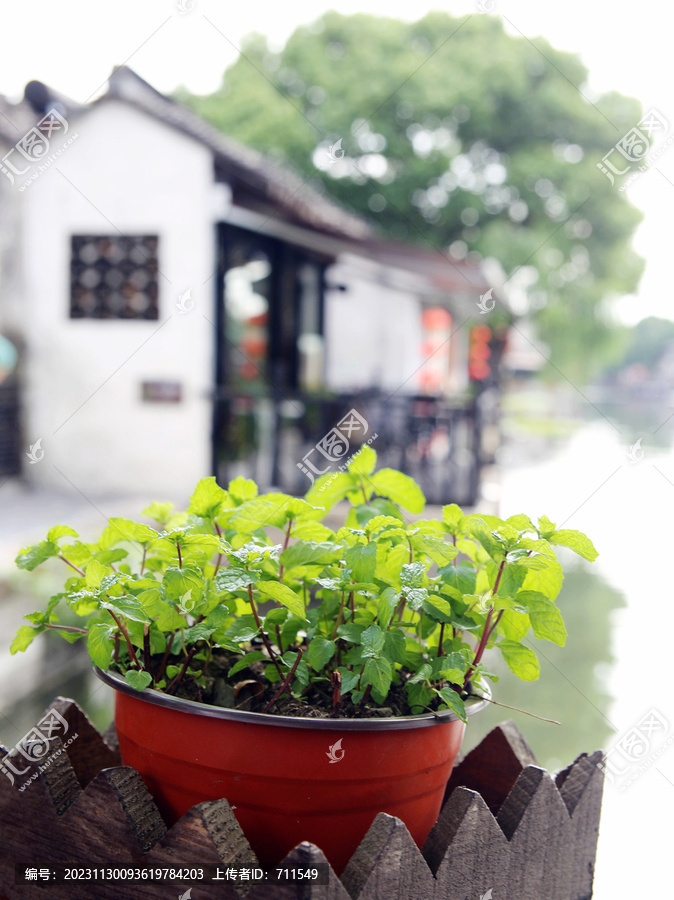 江南印象