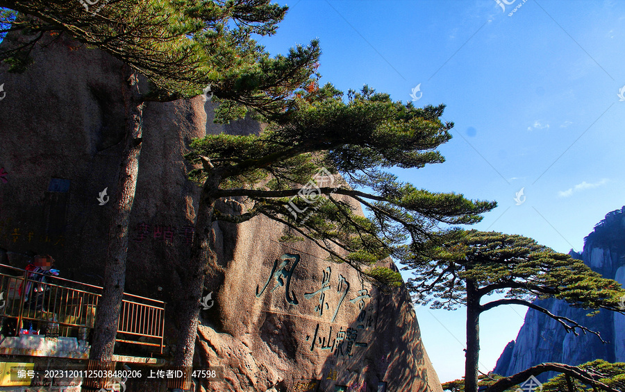 黄山迎客松