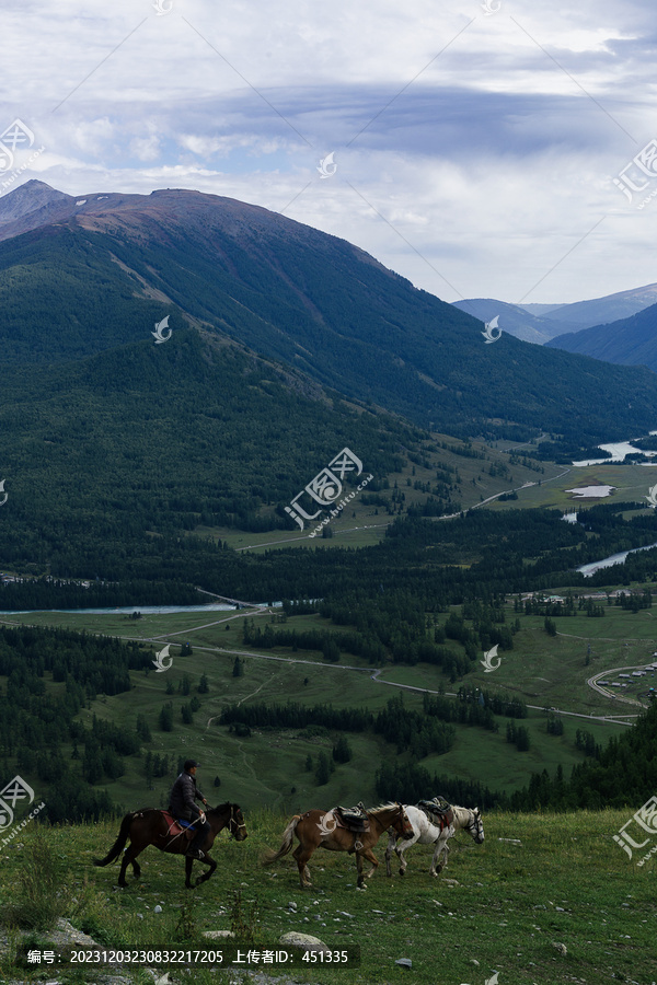 新疆喀纳斯风景