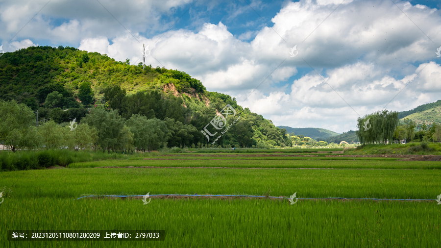 南泥湾