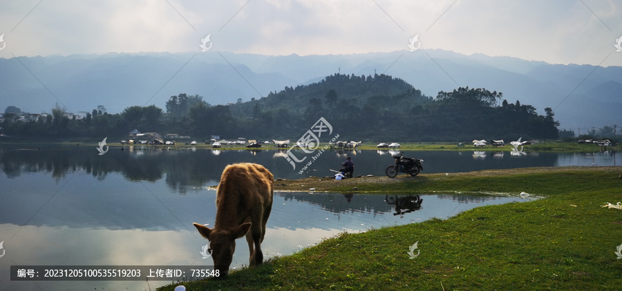 乡村清晨