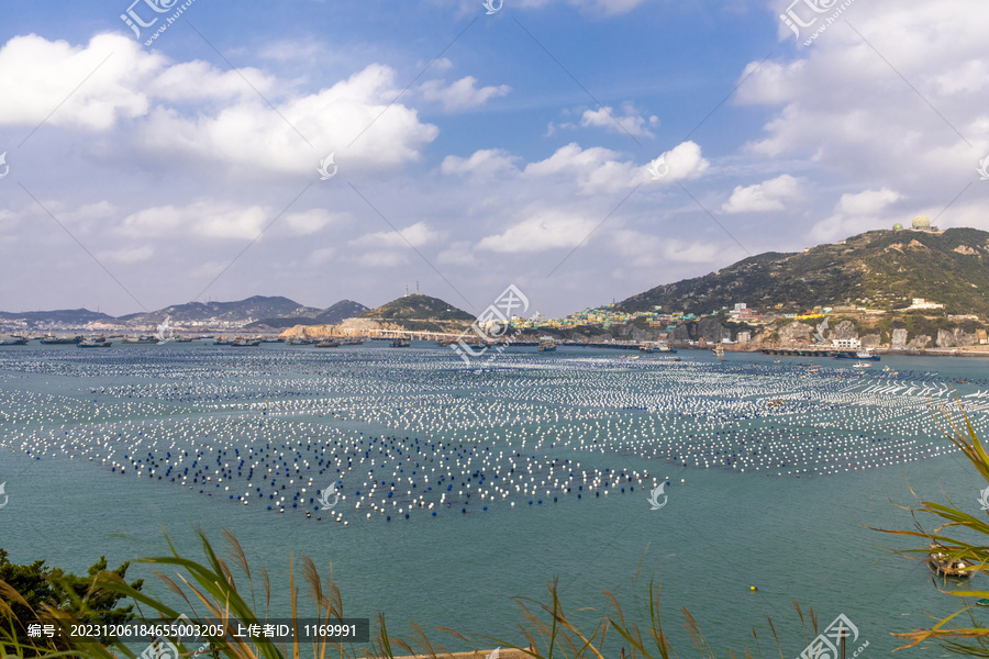 枸杞岛海域