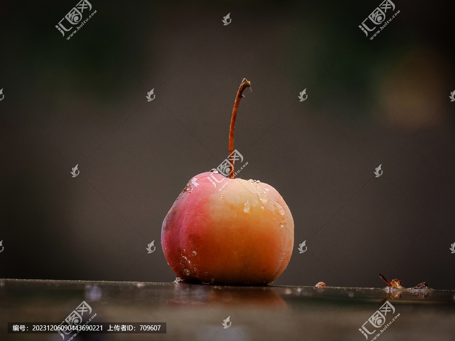 雨中海棠