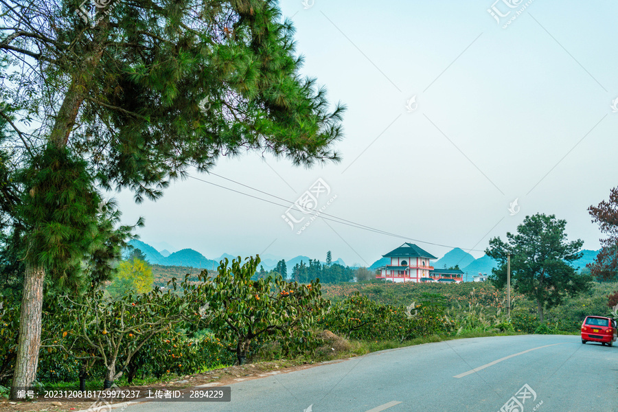 柏油马路上的红色小汽车