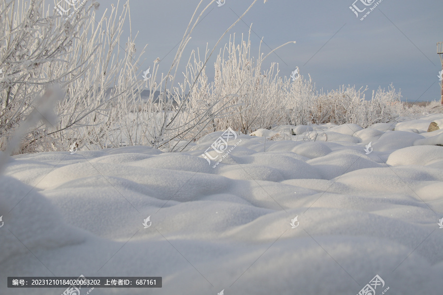 雪地