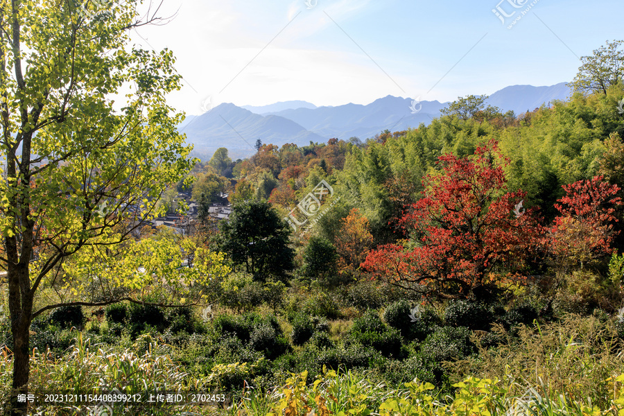 秋天的塔川