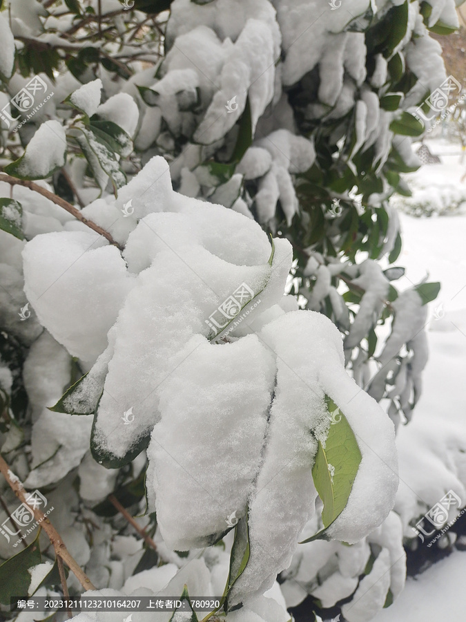 大雪